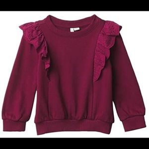 Janie & Jack Eyelet Sweatshirt- 2T